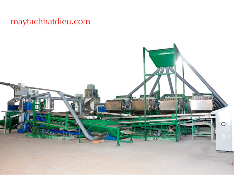 Splitting cashews machines 06